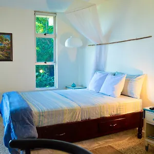 Moonlight Studio @montego Bay Club Montego Bay